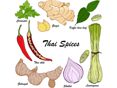 Thai spices colorful cuisine design food illustration natural organic spicy thai food vector