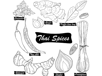 Black line hand drawn Thai spices cuisine design food hand drawn illustration line natural organic outline spicy thai food vector