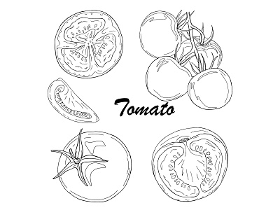 Black line tomato set design food hand drawn illustration line natural organic outline tomato vector vegan