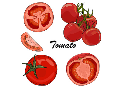 Tomato set design food illustration natural organic red tomato vector vegan