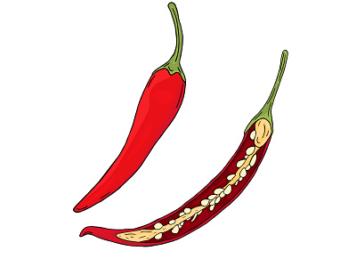 Thai chilies cuisine design food hand drawn illustration natural organic pepper spices spicy thai food vector