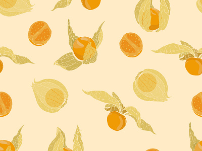 Physalis pattern