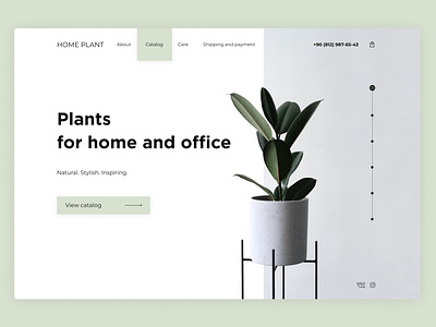 Online Store of House plants design green home store landing minimal plant store store ui ux web design web site