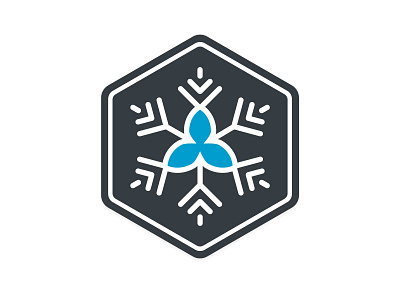 Ontario Snow Sports - Logo Mark blue design hexagon icon logo snowflake trillium
