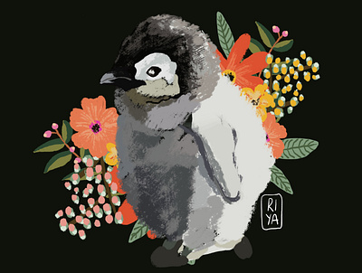 Hello pings art artist bird design illustraion illustration penguin poster print procreate vector