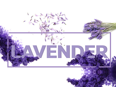 Lavender I concept art branding design illustration lavender logo minimal typography web website