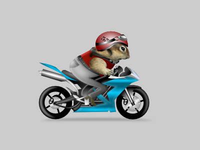 cureuil sur moto