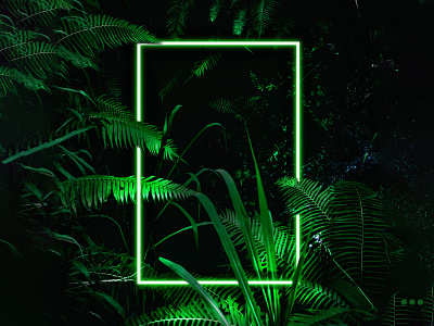 Jungle Neon abstract amazing art artwork creativity design graphic graphic design illustration jungle vector