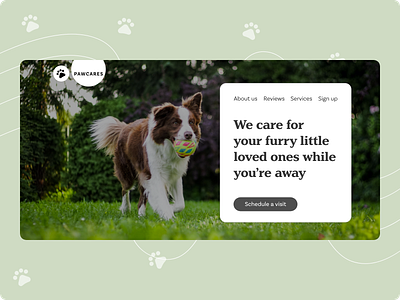 Pet Website Design Concept