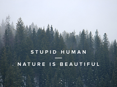 Stupid Human - Nature Is Beautiful; Poster beautiful clean human nature poster proxima nova stupid