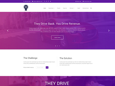 Drive Sure Website Mockup