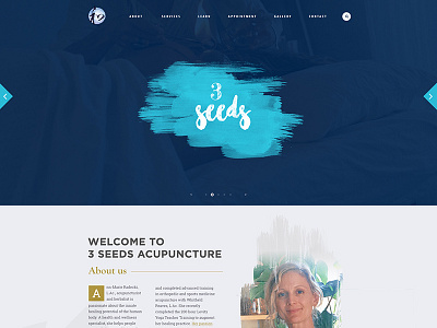 Acupuncture Website Mockup