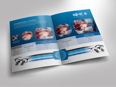 DVI Brochure brochure design print typography
