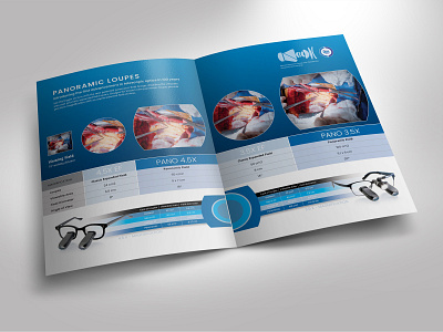 DVI Brochure