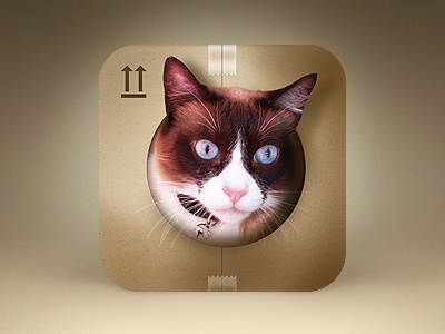 Procatinator iOS Icon app brown cat icon ios iphone