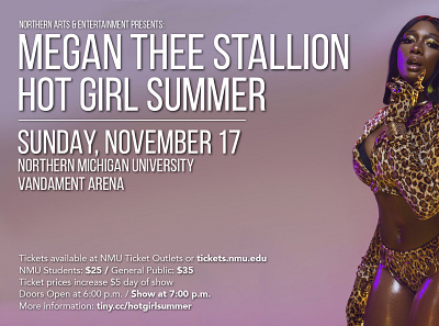 Megan Thee Stallion - concert promotion concert design poster