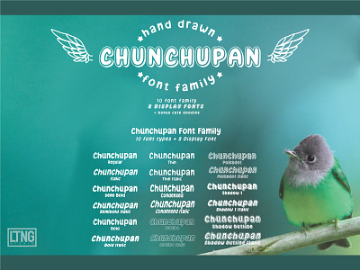 Chunchupan Font Family bird chunchupan cute display font hand drawn type face