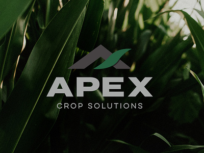 Apex Crop Solutions Logo