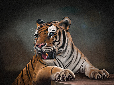 tiger design illustration 写实绘画