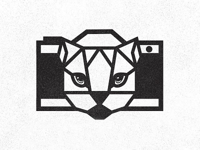 CAT-lyn Photography black and white brand identity branding camera canon cat geometric illustration logo design concept nikon photography photo type custom typography vector logomark logotype
