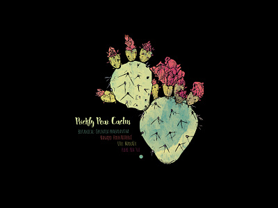 Prickly Pear Dribbble