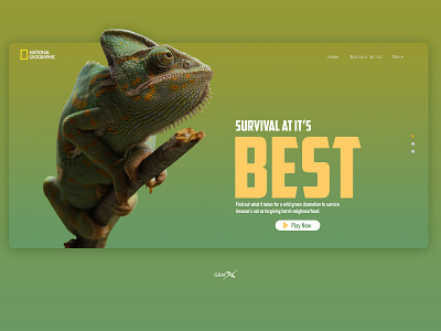 NatGeo website's Minimal Makeover