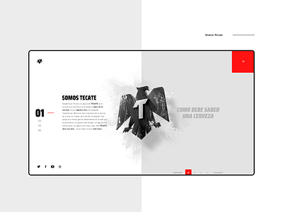 Tecate Website adobexd design interaction interactive ui uiux website