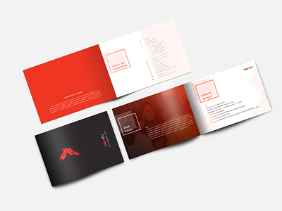 Tedx Branding Series bookets branding graphic design layout print