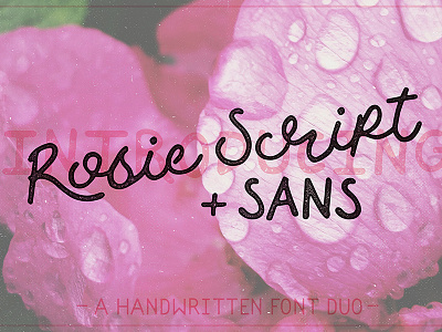 Rosie Script & Sans font font design hand drawn handdrawn handlettering lettering