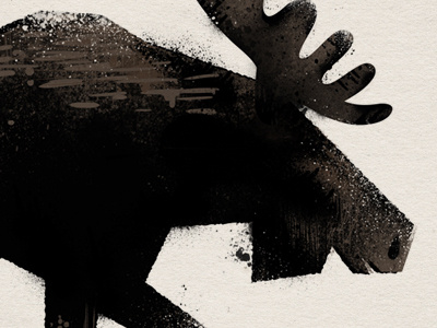 Moose Detail book illustration moose texture