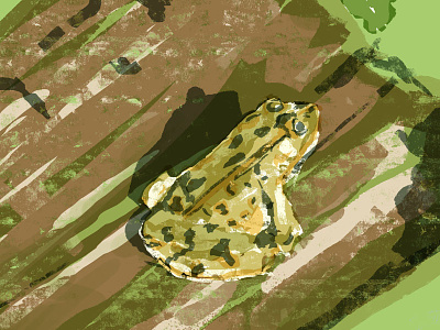 Leopard Frog On A Log fauna frog leopard log painting print psd wip wood