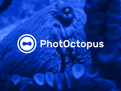 PhotOctopus brand eye identity iris o octopus photo photographer underwater