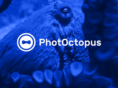 PhotOctopus