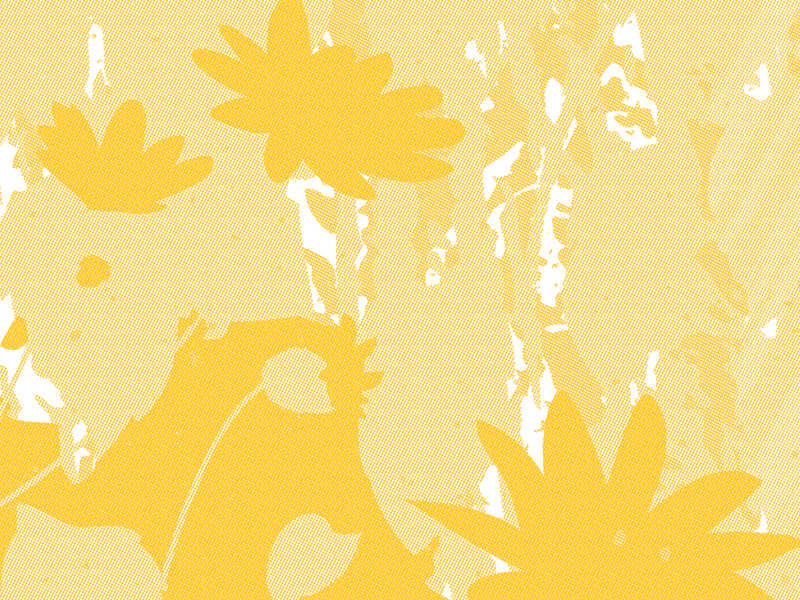 Smooth Oxeye (Color Separations) 3c flower halftone print screenprint smooth oxeye three color vector