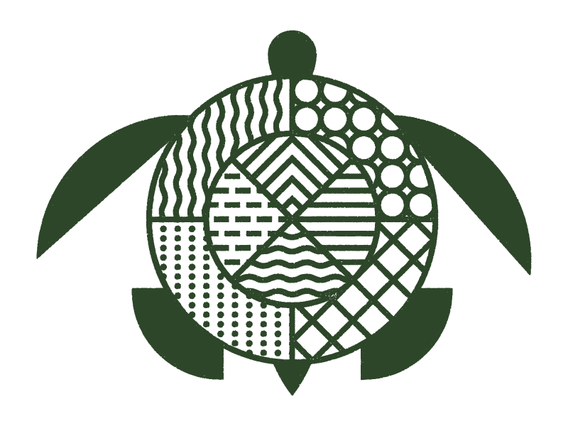 Cosmic Turtle x Esoteric Elements earthday geometry symbolism monoline turtle elements hot wet cold dry air water earth fire