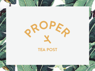 Proper Tea Post Branding branding design digital logo pittsburgh shanegazzo