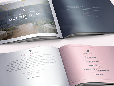 BorsaVini – Wine book book branding design graphic design graphic identity icon italy print print design typography wine