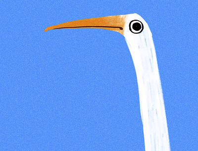 Stork? animal bird character character design cute design digital drawing illustration nature stork