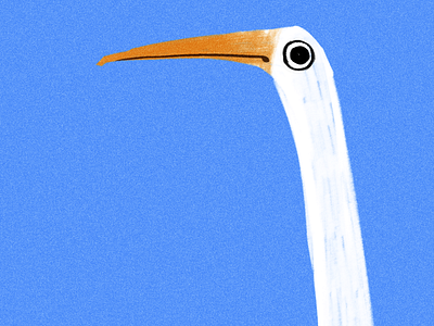 Stork?