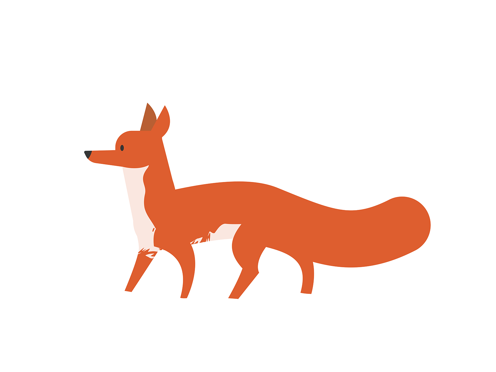Fox animation (AI + AE) by Evelyn Schepens on Dribbble