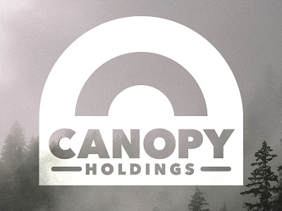 Canopy Holdings concept logo tip