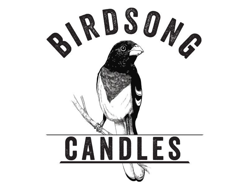 Birdsong Logo logo illustration photoshop bird