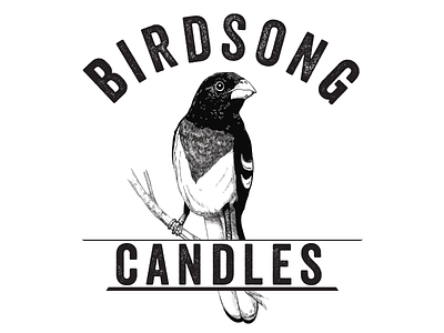 Birdsong Logo bird illustration logo photoshop