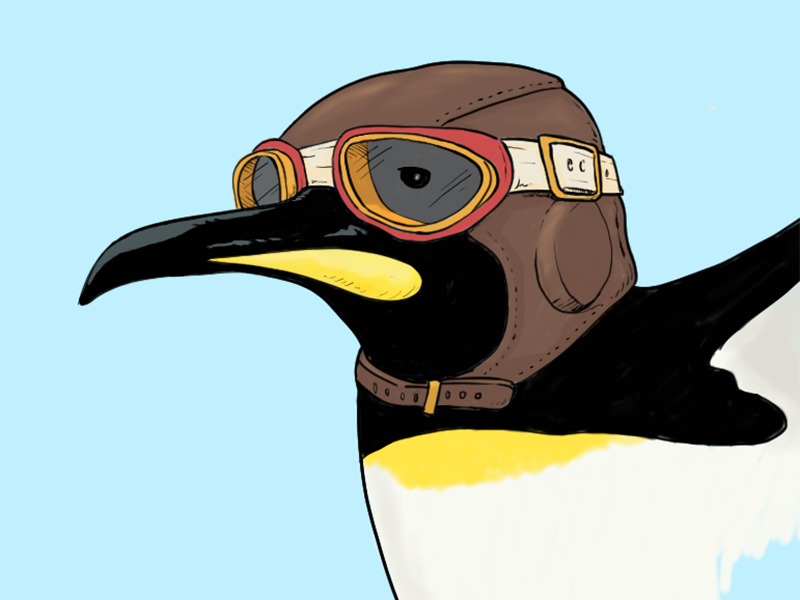 Aviator Penguin penguin illustration