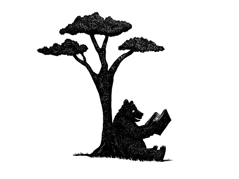 Reading Bear edited bear reading illustration