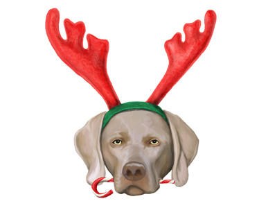 Christmas Dog christmas dog illustration