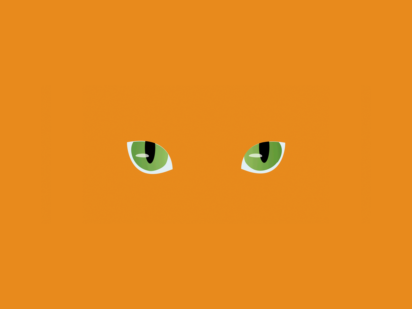naranja convertido dribble animation art direction branding cat character design drawing illustration motion vector