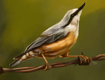 New day bird digital art digital painting nature painting