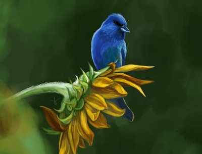 Blue bird and flower art bird digital digital art digital painting drawing nature