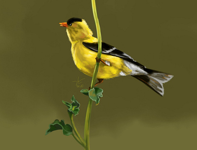 Monday birds digital art digital illustration drawing natural